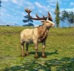 ScreenShot 2025-04-14 (17-58-36).jpg